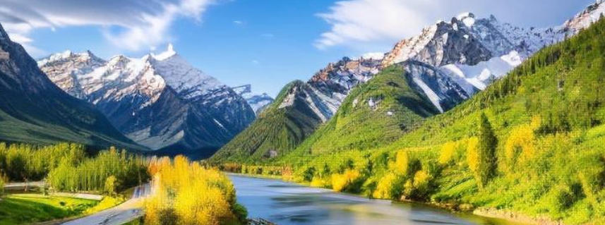 广东贰叁玖捌壹商贸有限公司轮播图3